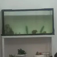 آکواریوم و پایه آکواریوم