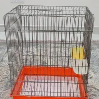 قفس ۱۰۳۳ عروس برزیلی