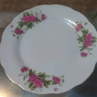 ظروف گل سرخی