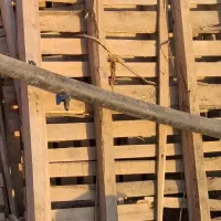 تیره چوب و پالت|مصالح و تجهیزات ساختمان|حمیل, |دیوار