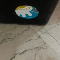 لوازم نگهداری خرگوش