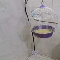 قفس|لوازم جانبی حیوانات|شهریار, شهرک بهاران (ویره)|دیوار