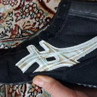 کفش کشتی|کیف، کفش، کمربند|نسیم‌شهر, |دیوار