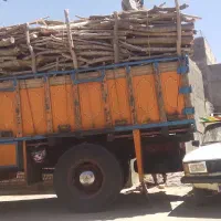 خرید درخت چوب کنده جزعی کلی