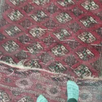 فرش دستبافت ۶متری|فرش|گرگان, |دیوار