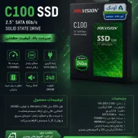 SSD Hikvision C100