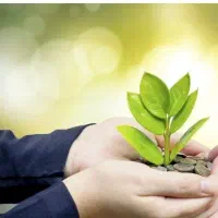 راهنمایی کنید