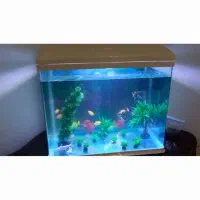 آکواریوم شرکتی شیشه خم( آکوا)درابعاد۶۰×۴۵  باماهی