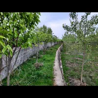 زمین کشاورزی ، مزروعی به همراه یک واحد دامداری|فروش زمین و ملک کلنگی|رودسر, |دیوار