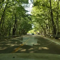 مغازه یا انبار