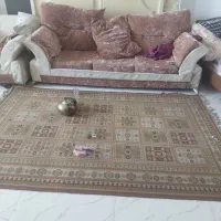گلیم ۴متری  فقط ۸۵۰تومن