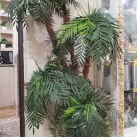 درخچه|گل مصنوعی|کارون, |دیوار