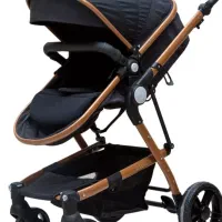 کالسکه هیرو پرو دلیجان