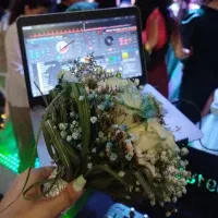 دیجی خانوم واقا|خدمات پذیرایی، مراسم|همدان, |دیوار