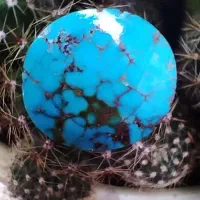 نگین فیروزه نیشابوری.