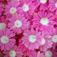 فروش عمده شمع تدی و بابونه