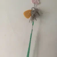 دوتاکلید ماشین پراید ویک کلید خانه