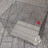 قفس سهره و فنج و مرغ عشق|لوازم جانبی حیوانات|تهران, شکوفه (عبدل آباد)|دیوار