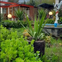 باغ ویلای جنگلی خوش منظره|اجارهٔ کوتاه‌مدت ویلا و باغ|اطاقور, |دیوار