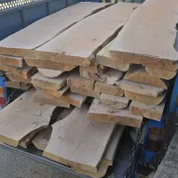 خرید انواع چوب درختان باغی و جنگلی|خدمات باغبانی و درختکاری|صفادشت, |دیوار