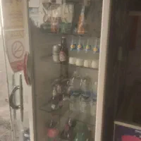 یخچال و قفسه