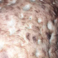 یک نفر خانم جهت کلوچه پزی