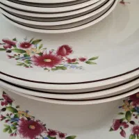 ظروف چینی