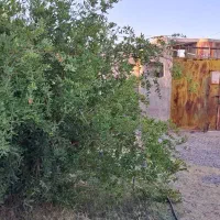 ملک فروشی موقعیت شکاری (ناصراباد)|فروش زمین و ملک کلنگی|سیب و سوران, |دیوار