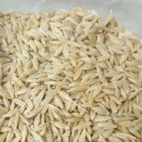 چو فروشی