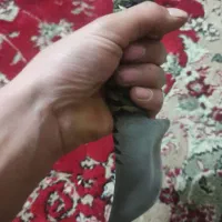 چاقو کلمبیای|کوهنوردی و کمپینگ|مشهد, شهرک مطهری|دیوار