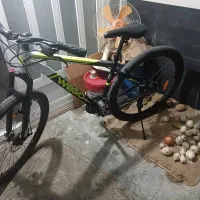 دوچرخه 29ویگو