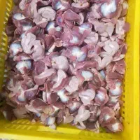 چرخ شده وپاک کرده سنگدان تازه داریم.|خوردنی و آشامیدنی|اهواز, امانیه|دیوار