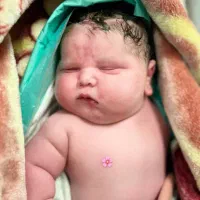 هدیه ای که خیلیهادرانتظار مادر شدن هستن