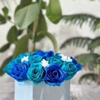 گل روبانی آبی