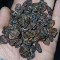 کشمش ومویز خرمامخصوص آبگیری بهمراه چرخ کردن رایگان|خوردنی و آشامیدنی|کرمانشاه, |دیوار