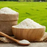 فروش انواع برنج