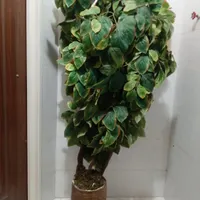 گلدان مصنوعی بزرگ
