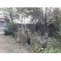 فروش زمین ۳۵۷ متری با بنا و امتیازات،خواجکین خمام|فروش زمین و ملک کلنگی|خمام, |دیوار