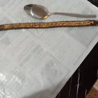 تسبیح کلکسیونی نفیس هسته خرما|کلکسیون اشیاء عتیقه|رشت, استقامت ۲|دیوار