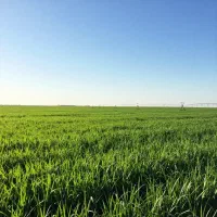 زمین-هزار-متری-430میلیون-یک-ساعت-ونیم-آب-در-هفته