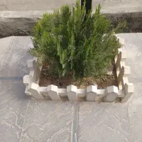 فروش-تک-خواب-عالم-آرا-سی5