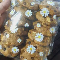 کوکی رژیمی|خوردنی و آشامیدنی|سبزوار, بیهق شرقی|دیوار