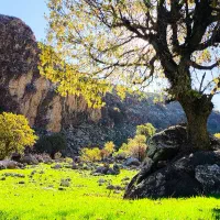 فروش زمین کشاورزی
