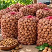 گردو دماوند