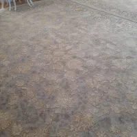 فرش زیبا ۹ متری نونونو|فرش|کرمانشاه, |دیوار