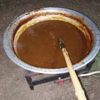 رب آلوچه تازه