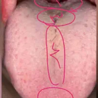 کار مخصوص خانمهای علاقمندطب سنتی هستن