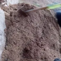 کود گوسفندی|خدمات باغبانی و درختکاری|ملک‌آباد, |دیوار