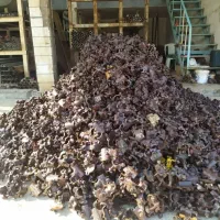 خرید و فروش لوله داربست رابط بست بشکه|مصالح و تجهیزات ساختمان|شیراز, سلطان آباد|دیوار