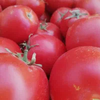 رب خانگی|خوردنی و آشامیدنی|کرج, کیانمهر|دیوار
